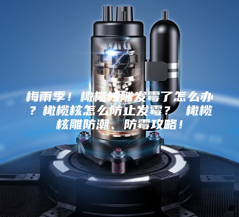 梅雨季!橄欖核雕發霉了怎么辦?橄欖核怎么防止發霉? 橄欖核雕防潮、防霉攻略!