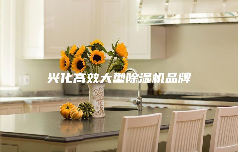 興化高效大型除濕機品牌