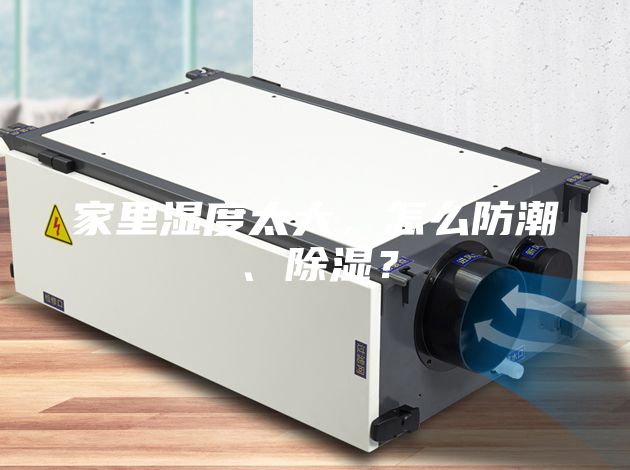 家里濕度太大，怎么防潮、除濕？