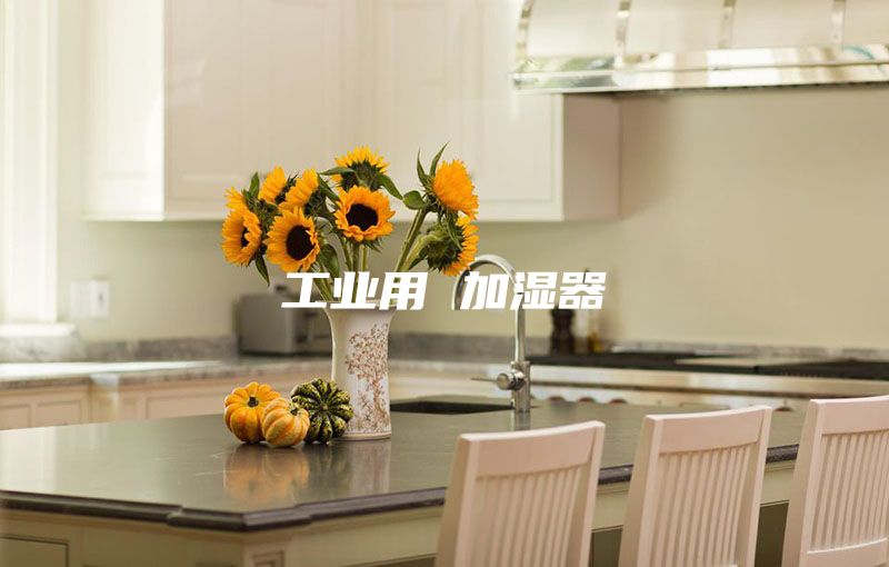 工業(yè)用 加濕器