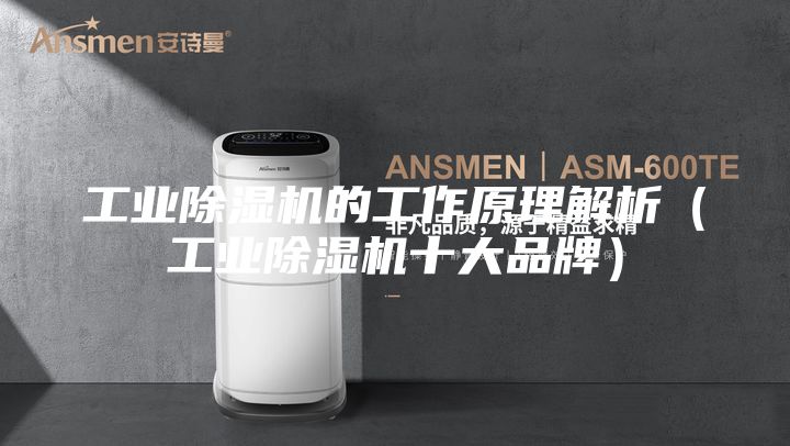 工業除濕機的工作原理解析（工業除濕機十大品牌）
