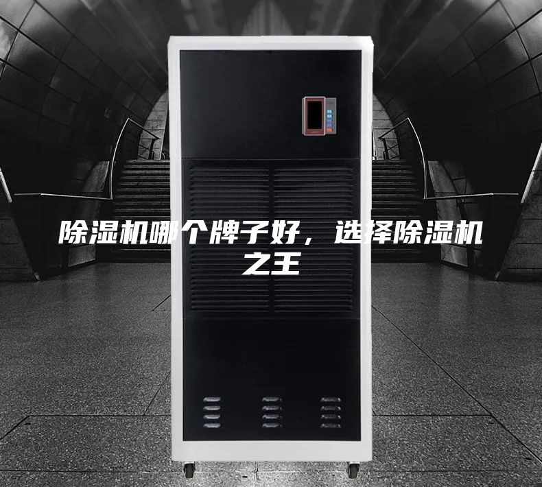 除濕機(jī)哪個牌子好，選擇除濕機(jī)之王