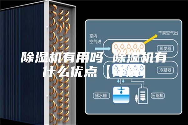 除濕機有用嗎 除濕機有什么優點【詳解】