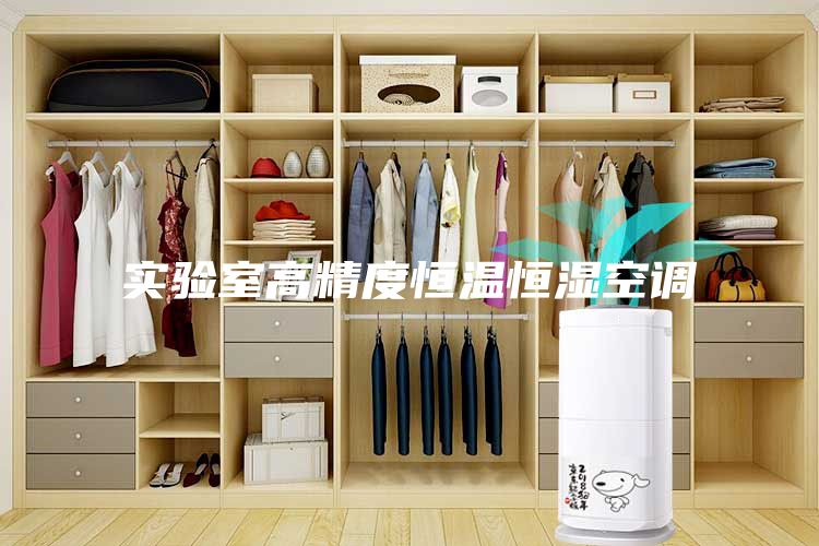 實(shí)驗(yàn)室高精度恒溫恒濕空調(diào)