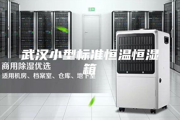 武漢小型標(biāo)準(zhǔn)恒溫恒濕箱