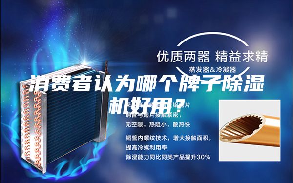 消費(fèi)者認(rèn)為哪個(gè)牌子除濕機(jī)好用？