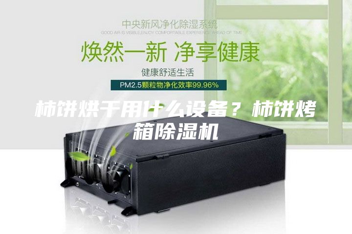 柿餅烘干用什么設備？柿餅烤箱除濕機