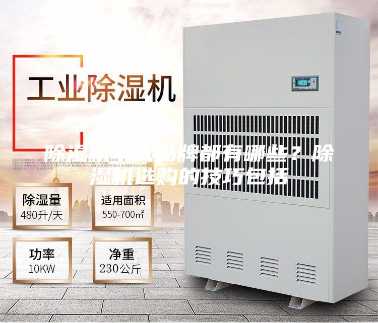 除濕機十大品牌都有哪些？除濕機選購的技巧包括
