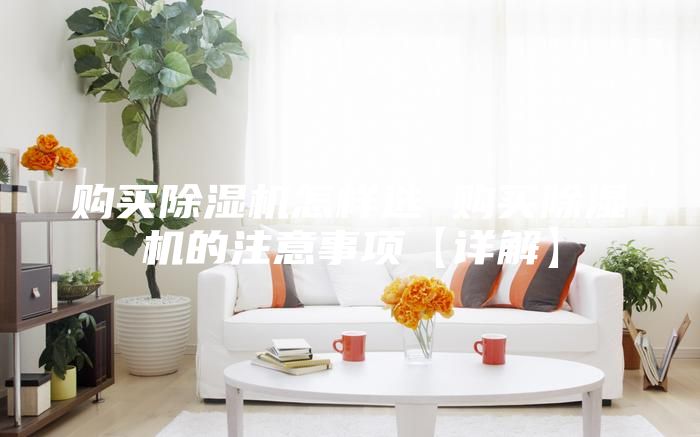 購(gòu)買除濕機(jī)怎樣選 購(gòu)買除濕機(jī)的注意事項(xiàng)【詳解】