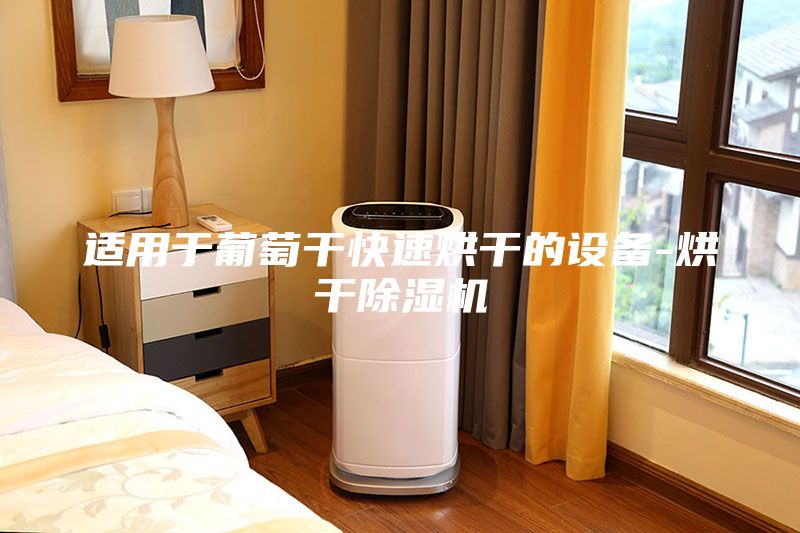 適用于葡萄干快速烘干的設(shè)備-烘干除濕機(jī)