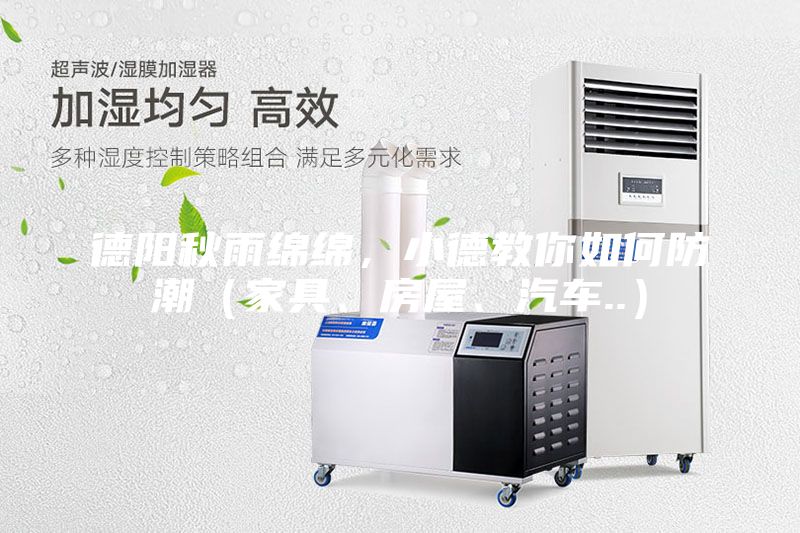 德陽秋雨綿綿，小德教你如何防潮（家具、房屋、汽車..）