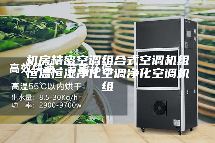 機(jī)房精密空調(diào)組合式空調(diào)機(jī)組恒溫恒濕凈化空調(diào)凈化空調(diào)機(jī)組
