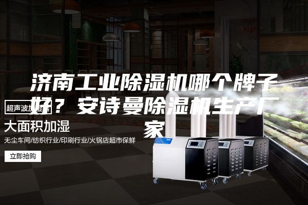 濟南工業(yè)除濕機哪個牌子好？安詩曼除濕機生產廠家