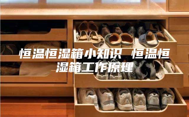 恒溫恒濕箱小知識(shí) 恒溫恒濕箱工作原理