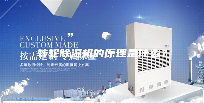 轉(zhuǎn)輪除濕機的原理是什么?