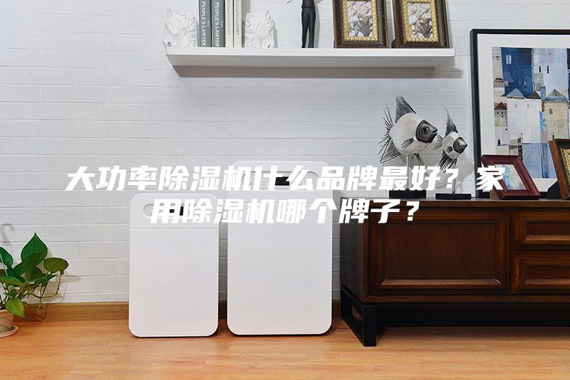 大功率除濕機(jī)什么品牌最好?家用除濕機(jī)哪個(gè)牌子?