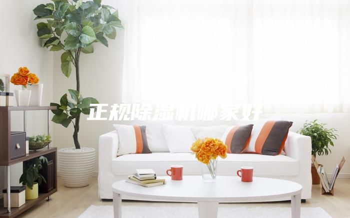 正規(guī)除濕機(jī)哪家好