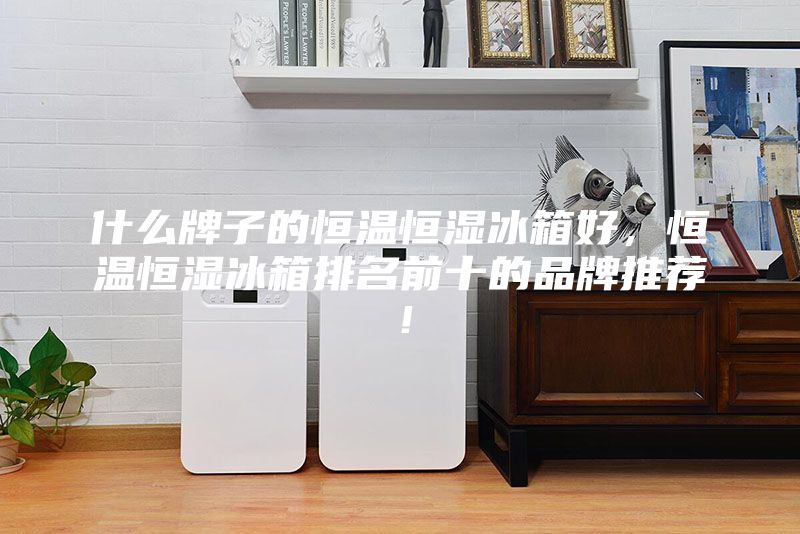 什么牌子的恒溫恒濕冰箱好，恒溫恒濕冰箱排名前十的品牌推薦！