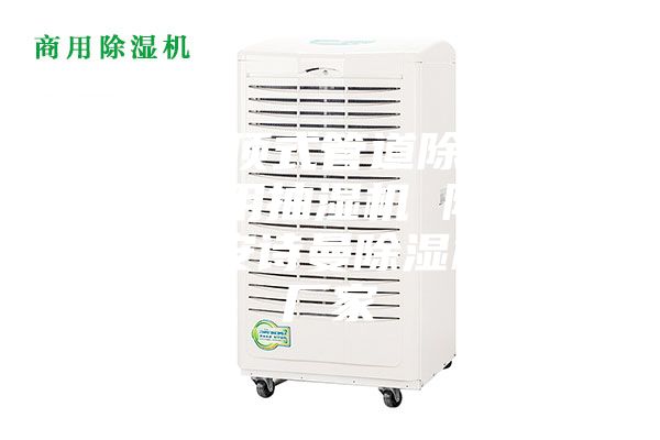 武漢吊頂式管道除濕機(jī)，游泳館用抽濕機(jī) 除濕防潮設(shè)備安詩(shī)曼除濕機(jī)生產(chǎn)廠家