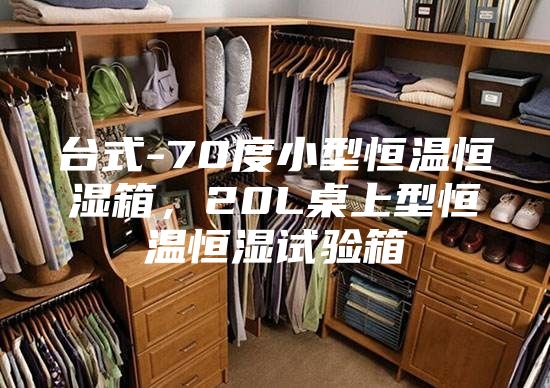 臺式-70度小型恒溫恒濕箱，20L桌上型恒溫恒濕試驗箱