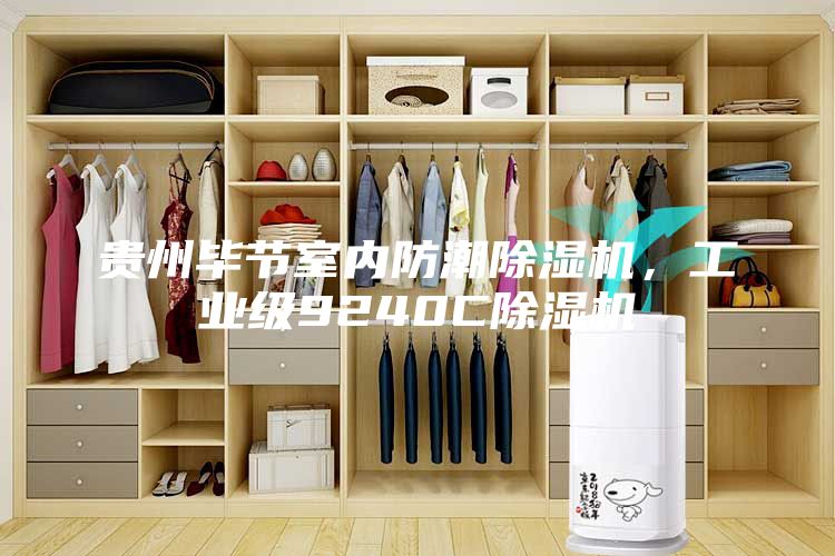 貴州畢節室內防潮除濕機，工業級9240C除濕機