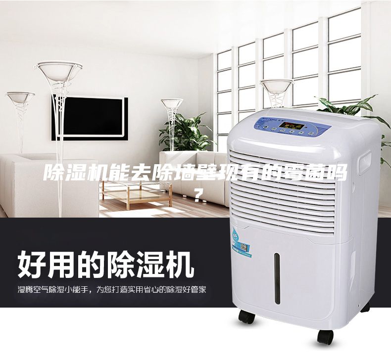 除濕機能去除墻壁現(xiàn)有的霉菌嗎？