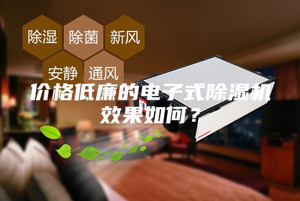價格低廉的電子式除濕機效果如何？