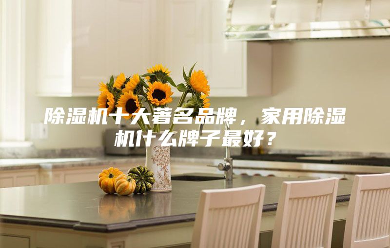 除濕機(jī)十大著名品牌，家用除濕機(jī)什么牌子最好？