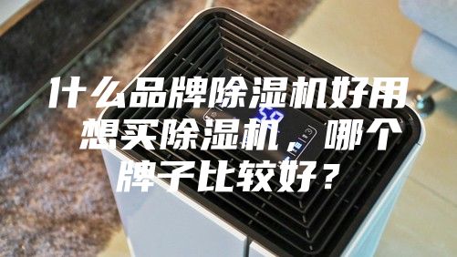 什么品牌除濕機(jī)好用 想買除濕機(jī)，哪個(gè)牌子比較好？