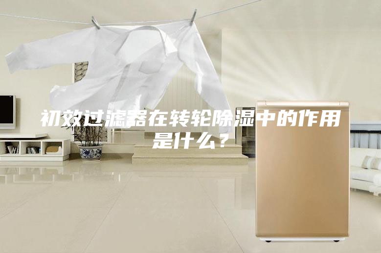 初效過濾器在轉輪除濕中的作用是什么？