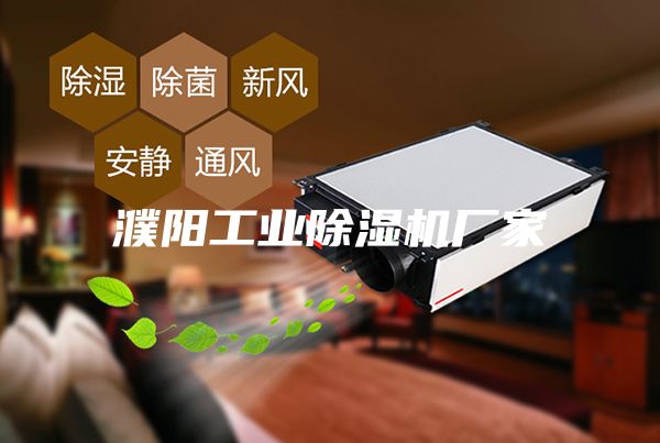 濮陽(yáng)工業(yè)除濕機(jī)廠(chǎng)家