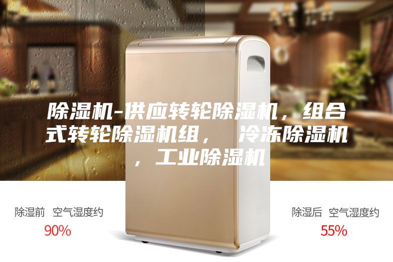 除濕機(jī)-供應(yīng)轉(zhuǎn)輪除濕機(jī)，組合式轉(zhuǎn)輪除濕機(jī)組， 冷凍除濕機(jī)，工業(yè)除濕機(jī)