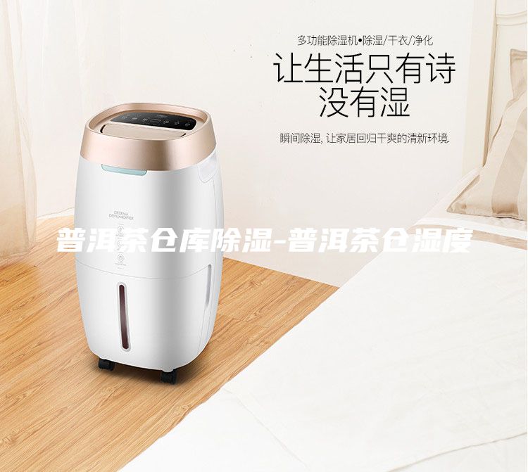 普洱茶倉(cāng)庫(kù)除濕-普洱茶倉(cāng)濕度