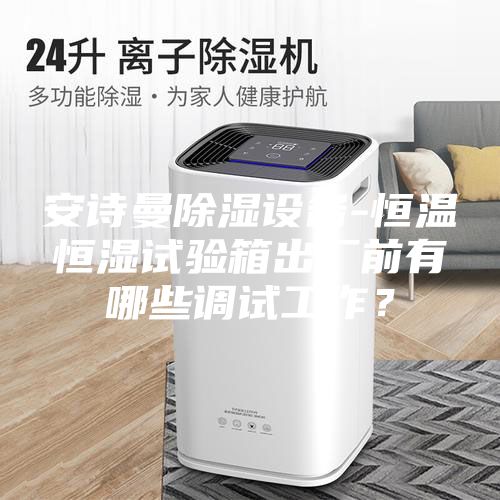 安詩曼除濕設(shè)備-恒溫恒濕試驗箱出廠前有哪些調(diào)試工作？