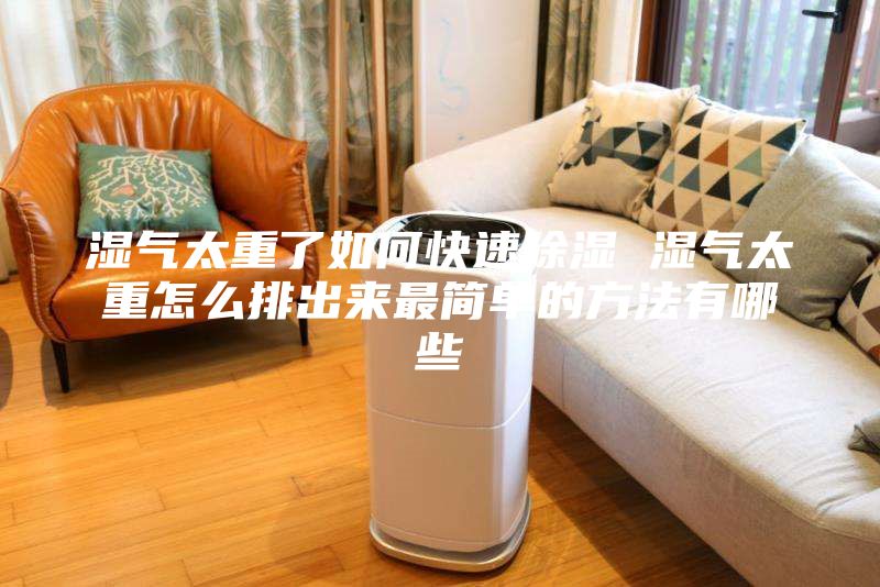 濕氣太重了如何快速除濕 濕氣太重怎么排出來最簡(jiǎn)單的方法有哪些