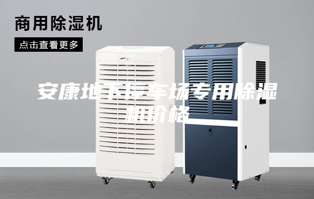 安康地下停車場(chǎng)專用除濕機(jī)價(jià)格