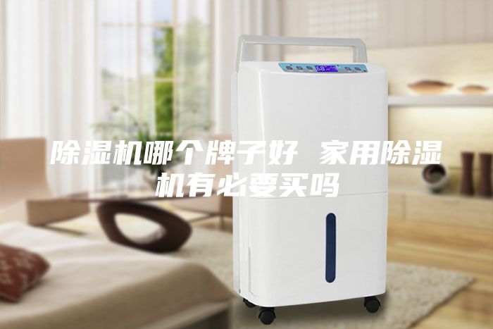 除濕機(jī)哪個(gè)牌子好 家用除濕機(jī)有必要買嗎