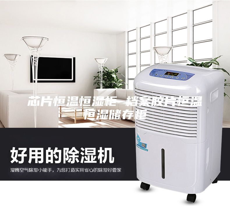 芯片恒溫恒濕柜 檔案膠片恒溫恒濕儲(chǔ)存柜