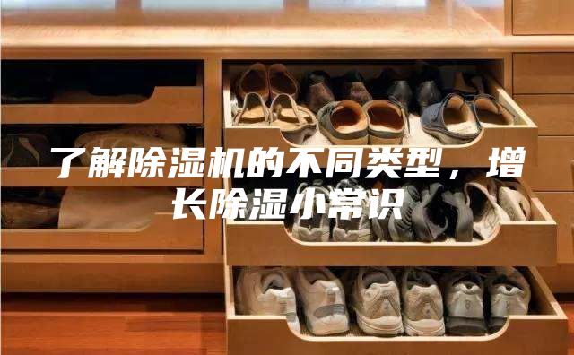 了解除濕機的不同類型，增長除濕小常識