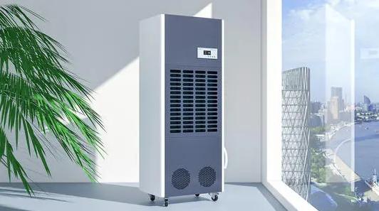 難見(jiàn)太陽(yáng)，南方潮濕，使用除濕機(jī)