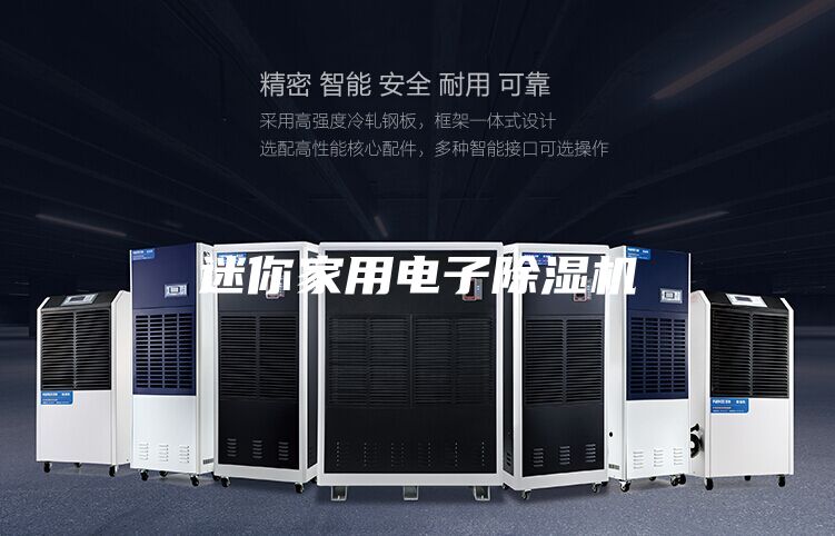 迷你家用電子除濕機