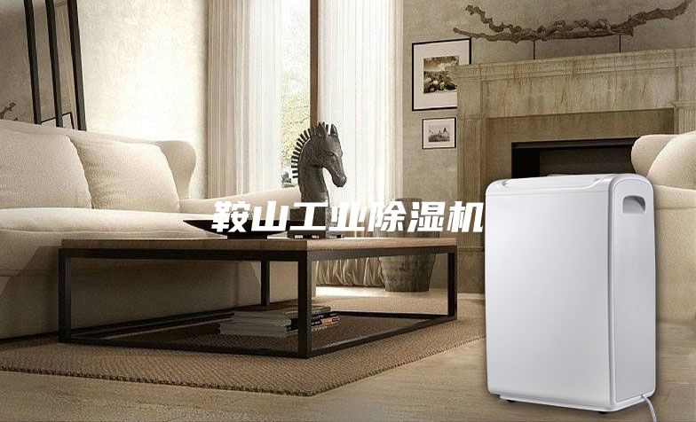 鞍山工業除濕機