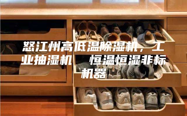怒江州高低溫除濕機，工業抽濕機  恒溫恒濕非標機器