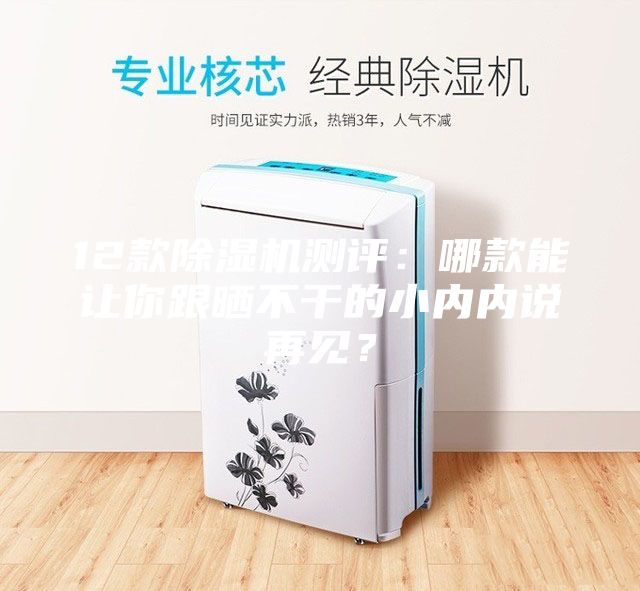 12款除濕機測評：哪款能讓你跟曬不干的小內(nèi)內(nèi)說再見？