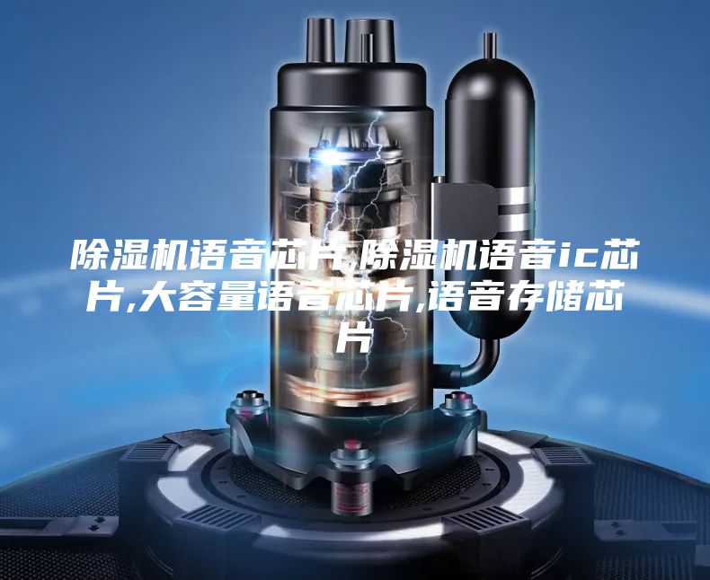 除濕機(jī)語音芯片,除濕機(jī)語音ic芯片,大容量語音芯片,語音存儲(chǔ)芯片