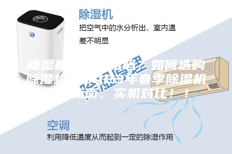 除濕機是智商稅嗎？如何選購除濕機？2023年春季除濕機選購指南，實機對比！！