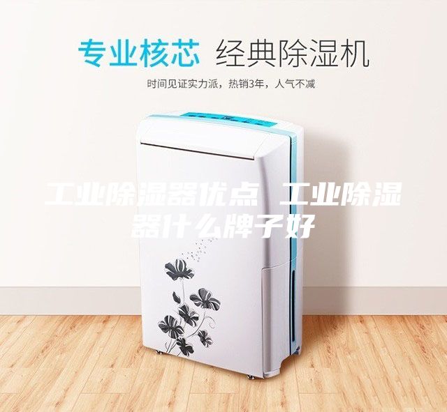 工業(yè)除濕器優(yōu)點 工業(yè)除濕器什么牌子好