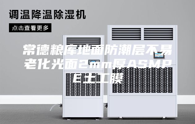 常德糧庫(kù)地面防潮層不易老化光面2mm厚ASMPE土工膜