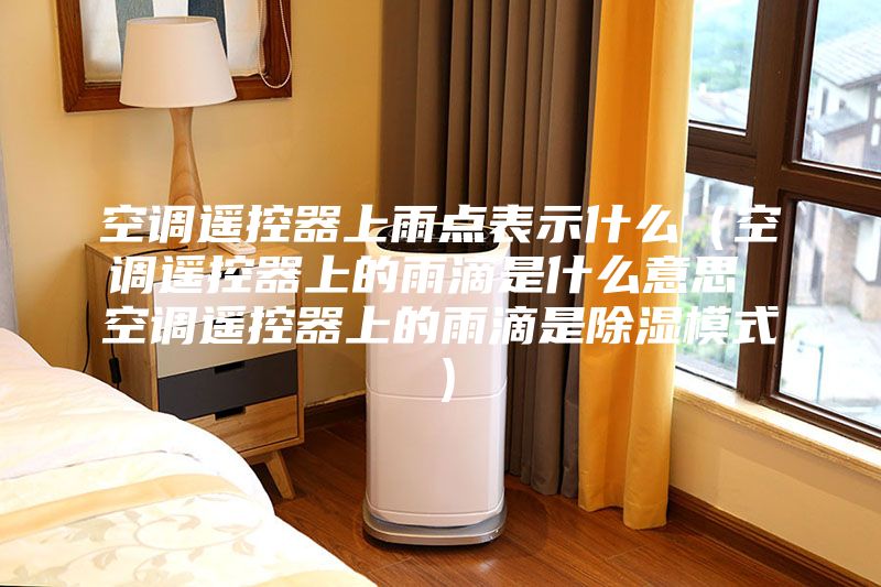 空調遙控器上雨點表示什么(空調遙控器上的雨滴是什么意思 空調遙控器上的雨滴是除濕模式)