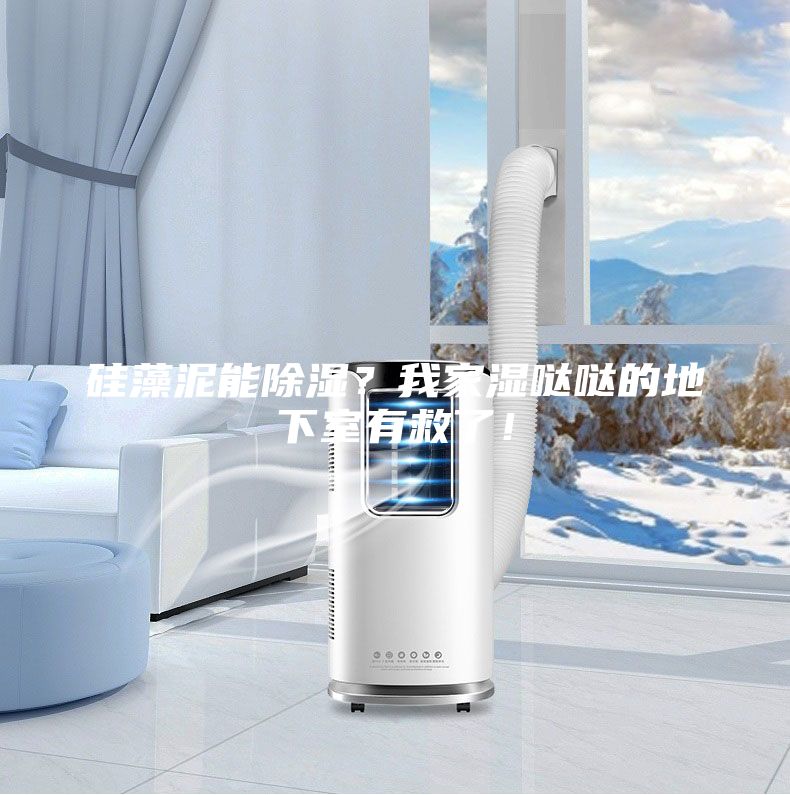 硅藻泥能除濕？我家濕噠噠的地下室有救了！